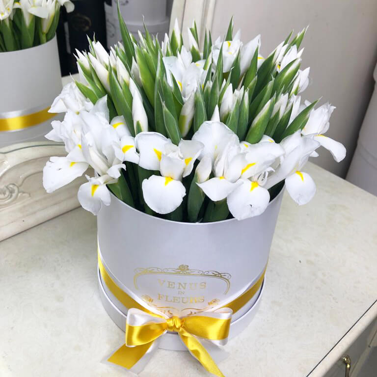 101 белый ирис в коробке 101 белый ирис в коробке