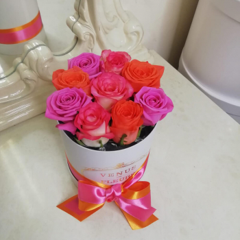 9 розово-оранжевых роз в коробке