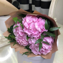 3 гортензии в букете 3 гортензии в букете