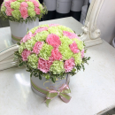 41 нежная гвоздика в коробке 41 нежная гвоздика в коробке