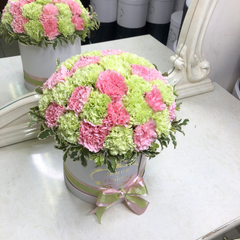 41 нежная гвоздика в коробке