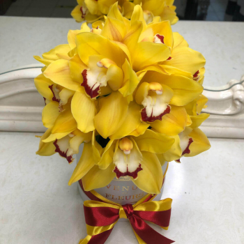 Желтые орхидеи в коробке от 13 шт. Желтые орхидеи в коробке от 13 шт.