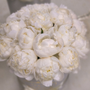 Белые пионы в коробке от 9 шт. Белые пионы в коробке от 9 шт.