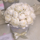 Белые пионы в коробке от 9 шт. Белые пионы в коробке от 9 шт.