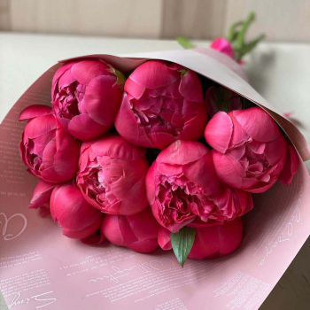 9 коралловых пионов в букете 9 коралловых пионов в букете