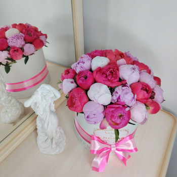 Коралловые и розовые пионы в коробке - 25 шт. Коралловые и розовые пионы в коробке - 25 шт.