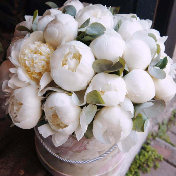 25 белых пионов в коробке