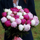 Красивый букет из 25 пионов Красивый букет из 25 пионов