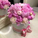 25 летних пионов в коробке 25 летних пионов в коробке