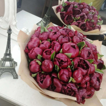 51 бордовый пион в букете