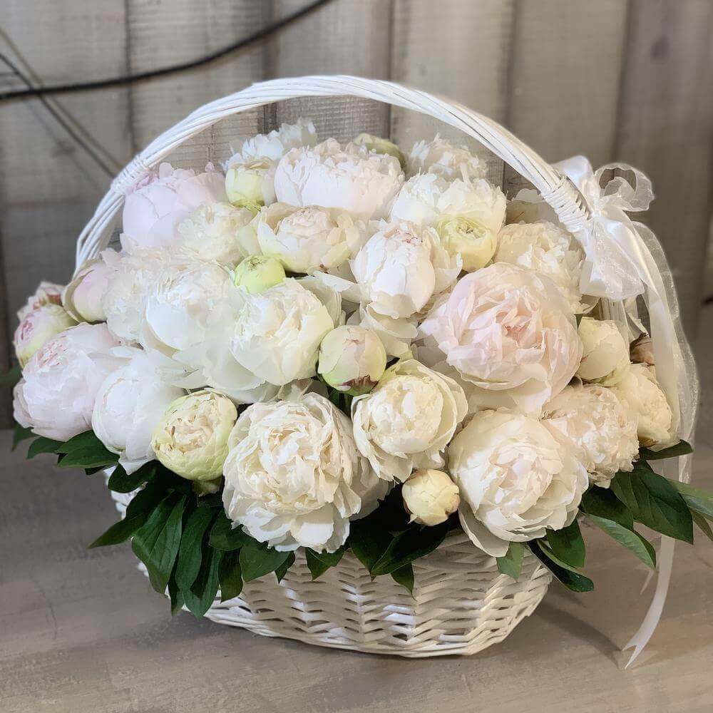 Белые пионы в корзине от 25 шт. Белые пионы в корзине от 25 шт.