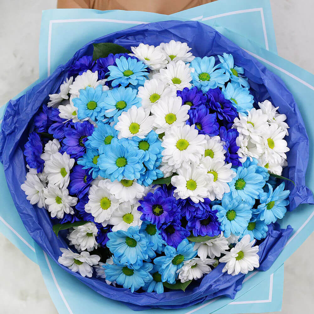 Сине-голубые хризантемы - 29 шт. Сине-голубые хризантемы - 29 шт.