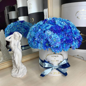 9 синих кустовых хризантем в коробке