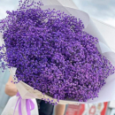 51 фиолетовая гипсофила в букете 51 фиолетовая гипсофила в букете