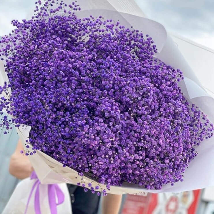 51 фиолетовая гипсофила в букете 51 фиолетовая гипсофила в букете