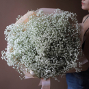 51 белая гипсофила в букете 51 белая гипсофила в букете