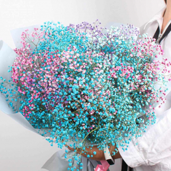 25 гипсофил в миксе