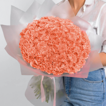 101 коралловая гвоздика в букете 101 коралловая гвоздика в букете