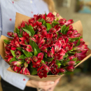 41 красная альстромерия в букете 41 красная альстромерия в букете