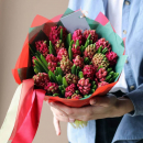 25 красных гиацинт в букете 25 красных гиацинт в букете