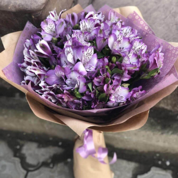 9 фиолетовых альстромерий 9 фиолетовых альстромерий