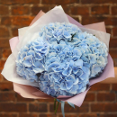 Голубые гортензии в букете от 3 шт. Голубые гортензии в букете от 3 шт.