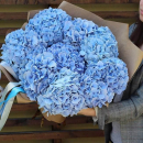 Голубые гортензии в букете от 3 шт. Голубые гортензии в букете от 3 шт.