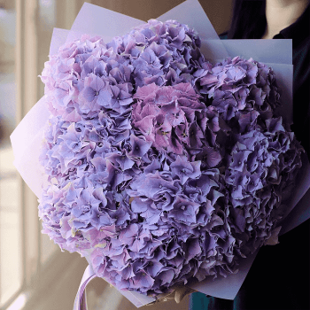 9 фиолетовых гортензий в букете
