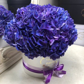 9 фиолетовых гортензий в коробке 9 фиолетовых гортензий в коробке