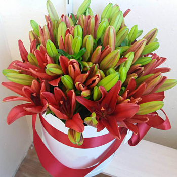 19 красных лилий в коробке