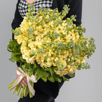 41 желтая маттиола в букете 41 желтая маттиола в букете