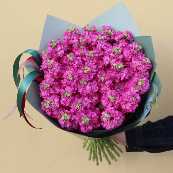 29 малиновых маттиол в букете