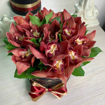 13 темно-бордовых орхидей в коробке