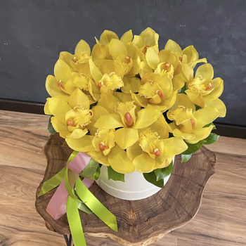13 желтых орхидей в коробке