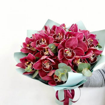 13 красных орхидей с эвкалиптом в букете