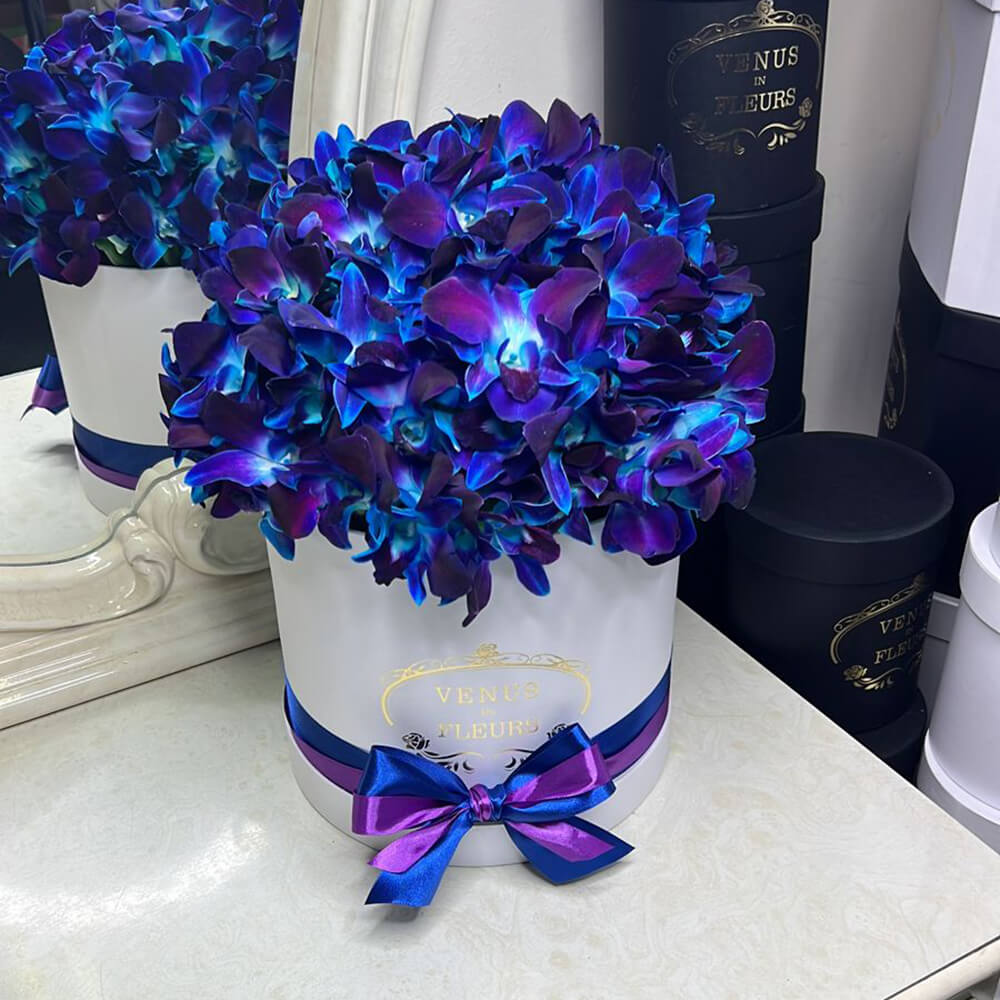 51 синяя орхидея в коробке 51 синяя орхидея в коробке