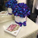 51 синяя орхидея в коробке 51 синяя орхидея в коробке