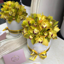 Микс из орхидей в коробке от 25 шт. Микс из орхидей в коробке от 25 шт.