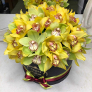 Микс из орхидей в коробке от 25 шт. Микс из орхидей в коробке от 25 шт.