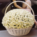 Белые розы в корзине от 51 шт. Белые розы в корзине от 51 шт.