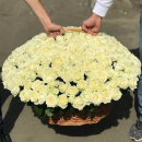 Белые розы в корзине от 51 шт. Белые розы в корзине от 51 шт.