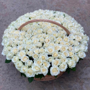 Белые розы в корзине от 51 шт. Белые розы в корзине от 51 шт.