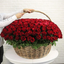 Красные розы в корзине от 51 шт. Красные розы в корзине от 51 шт.