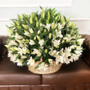 101 белая лилия в корзине 101 белая лилия в корзине