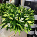 101 белая лилия в корзине 101 белая лилия в корзине