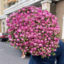 Букет пионовидных розовых роз - 101 шт. Букет пионовидных розовых роз - 101 шт.