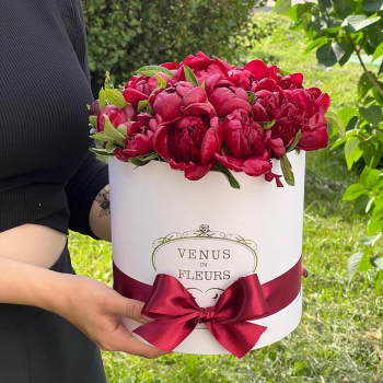 Бордовые пионы в коробке - 19 шт.