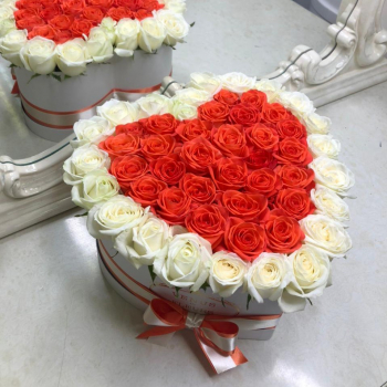 41 коралловая роза с белой окантовкой