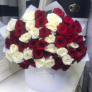 41 красно-белая роза в букете 41 красно-белая роза в букете