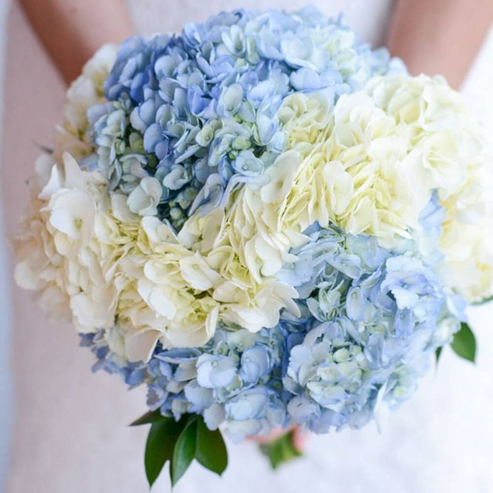 Свадебный букет из гортензий - 5 шт. Свадебный букет из гортензий - 5 шт.